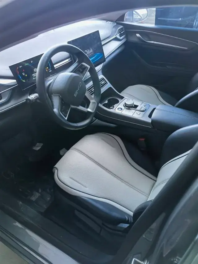 2023 BYD DESTROYER thumbnail 4