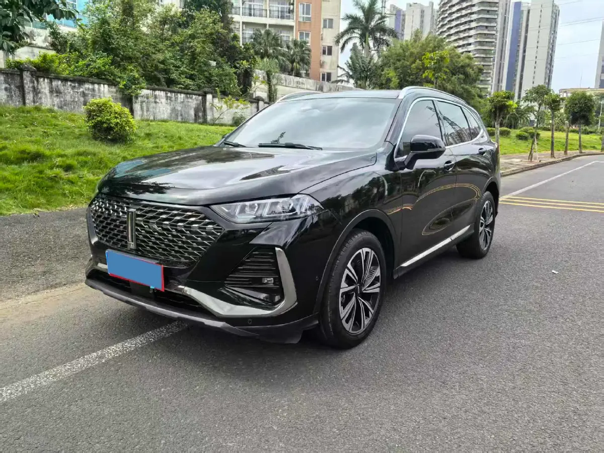 2022 WEY Latte DHT 1.5T 156HP L4 2DHT Hybrid