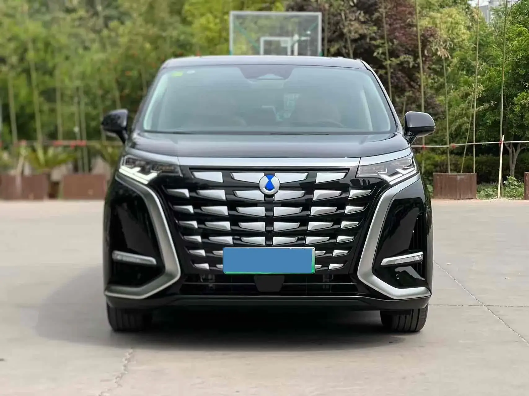 2024 DENZA D9 thumbnail 2