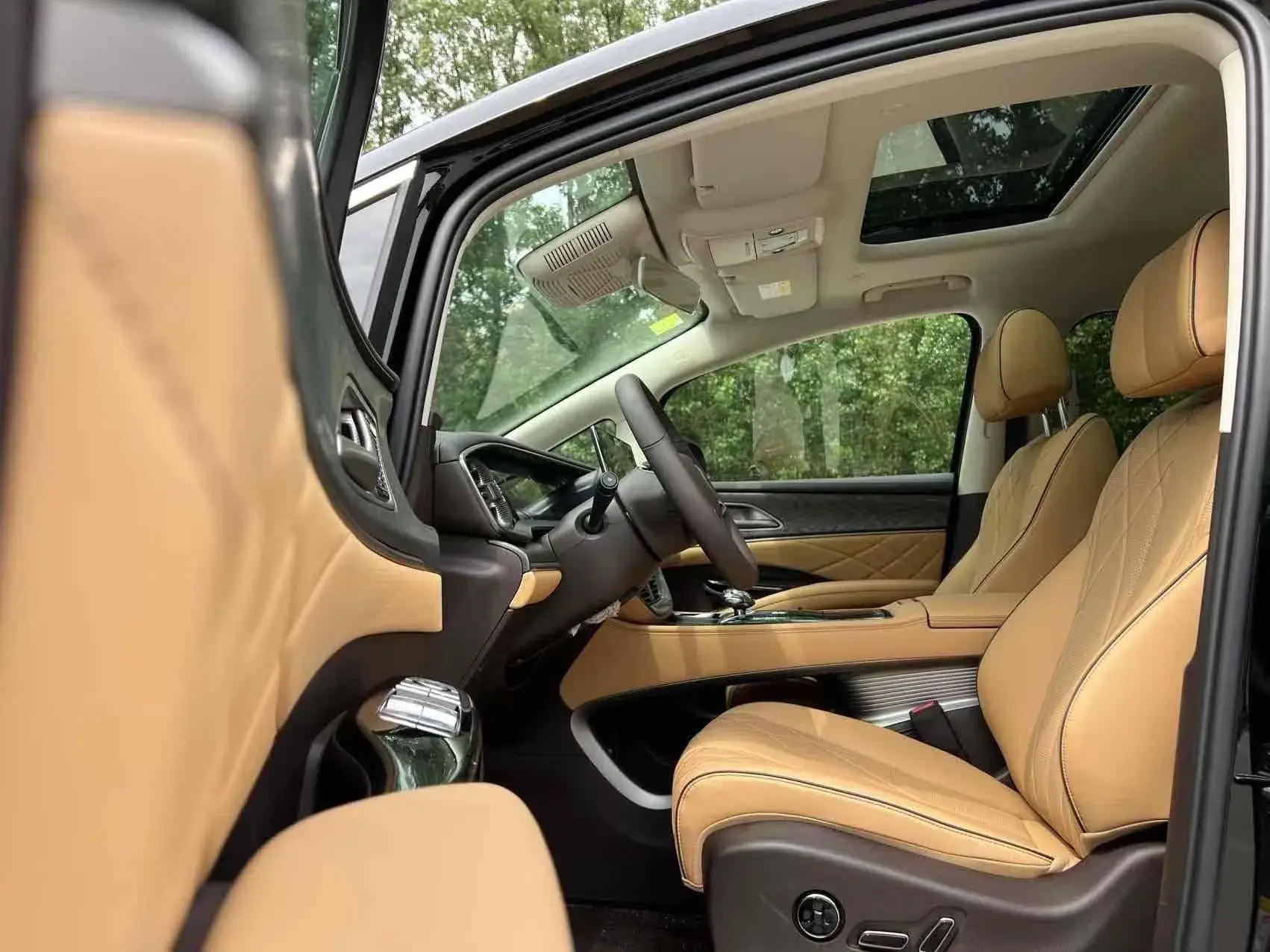 2024 DENZA D9 thumbnail 4