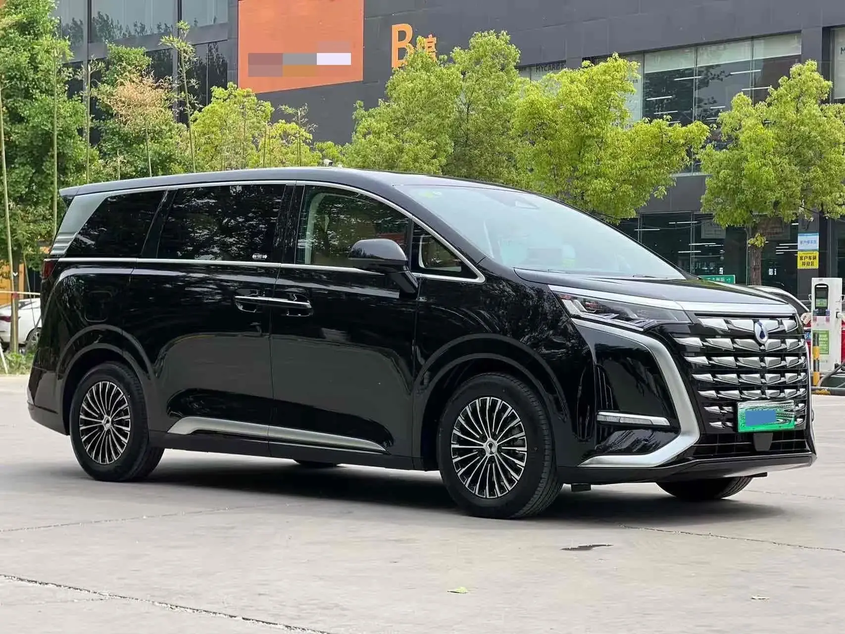 2024 DENZA D9 thumbnail 3