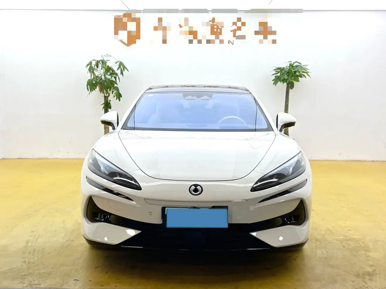 2024 DENZA DENZAZ9GT thumbnail 2