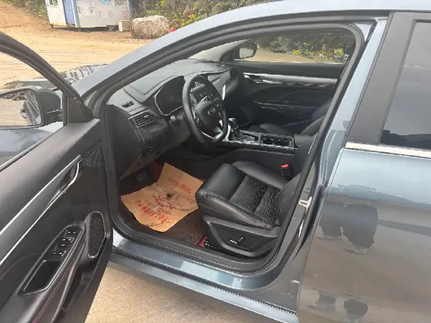 2020 GEELY BINRAY thumbnail 2