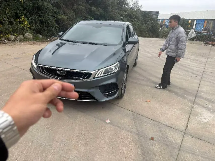 2020 GEELY BINRAY view 1