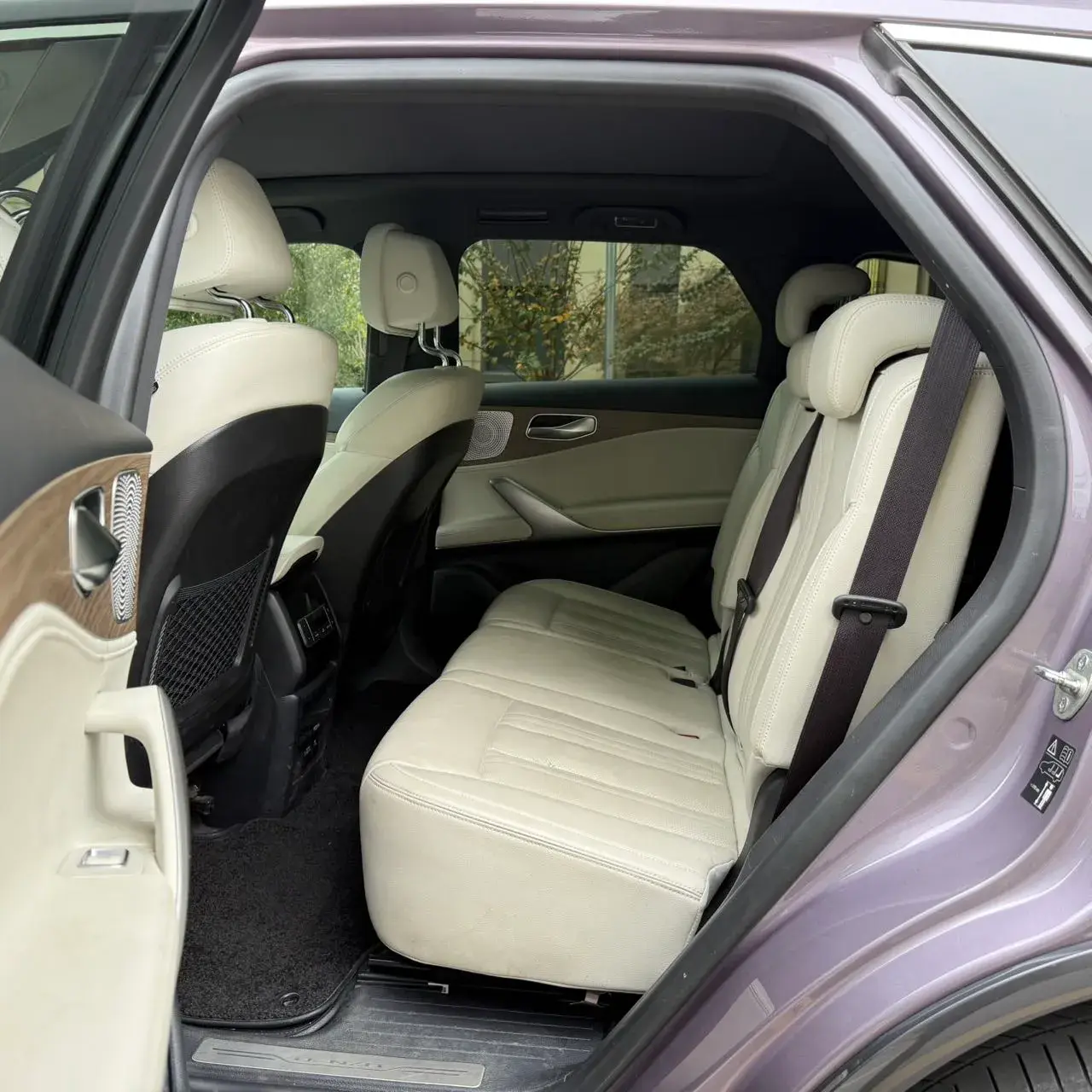 2020 DENZA X thumbnail 4