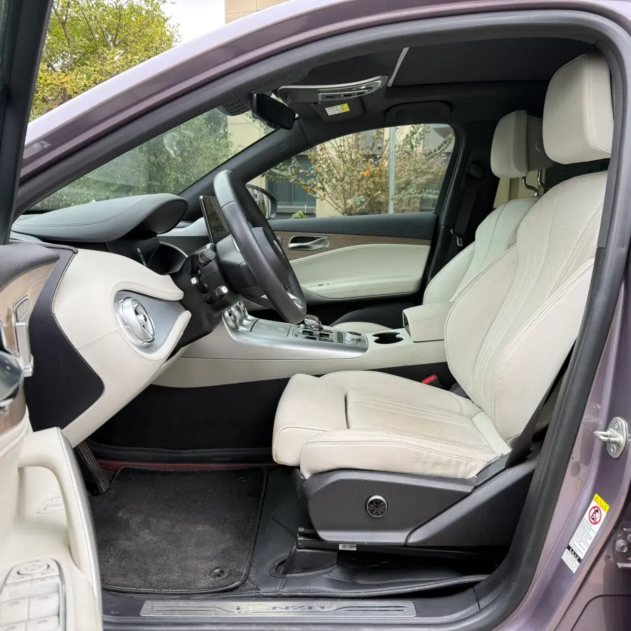 2020 DENZA X thumbnail 3