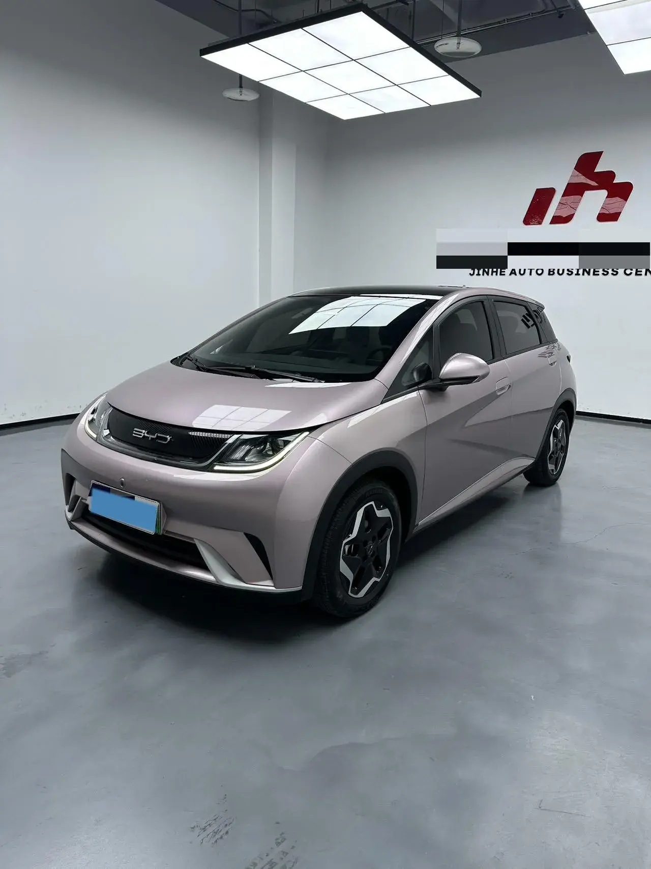 2021 BYD DOLPHIN view 1