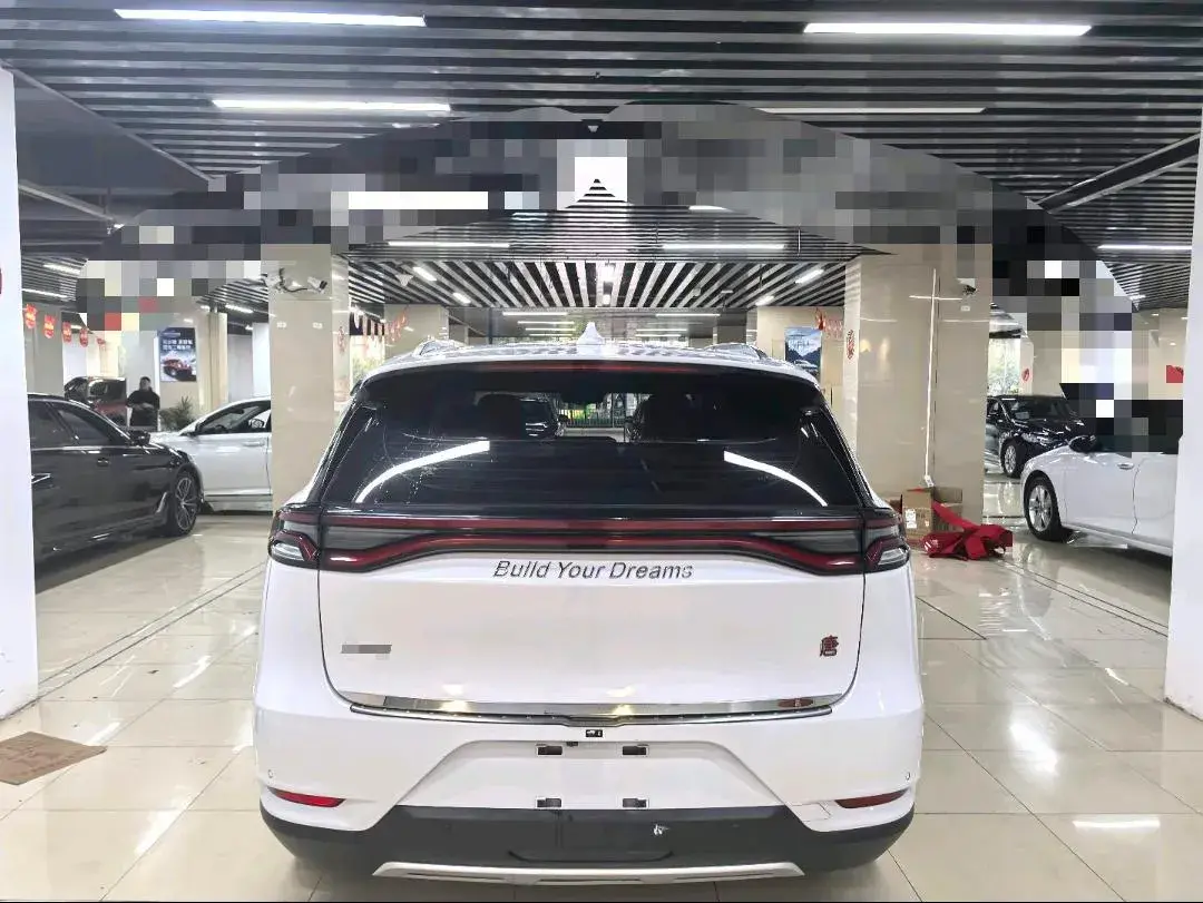 2019 BYD TANG thumbnail 2