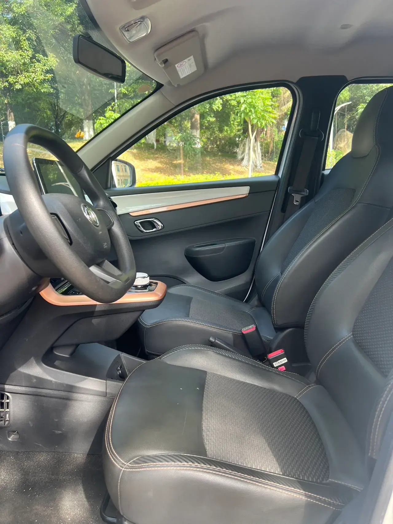 2022 DONGFENG NAMMI thumbnail 4