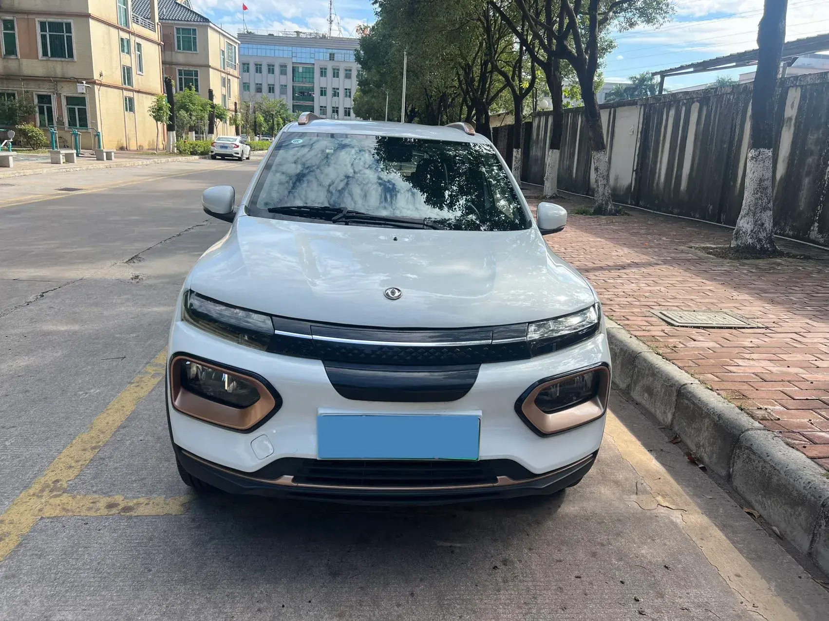 2022 DONGFENG NAMMI thumbnail 2