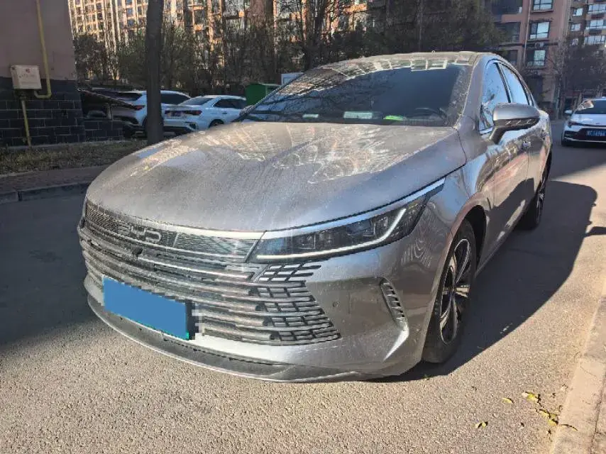 2022 BYD DESTROYER view 1