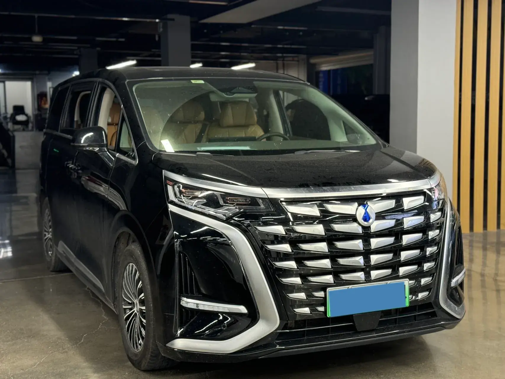 2022 DENZA D9 thumbnail 3