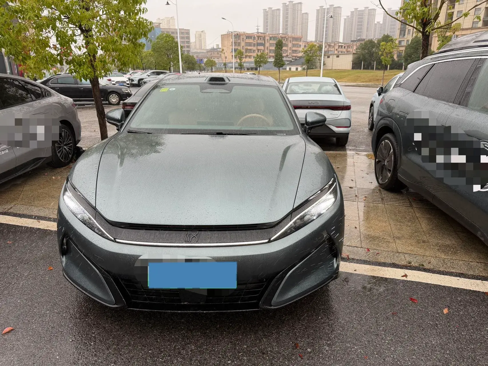 2025 BYD HANL thumbnail 2