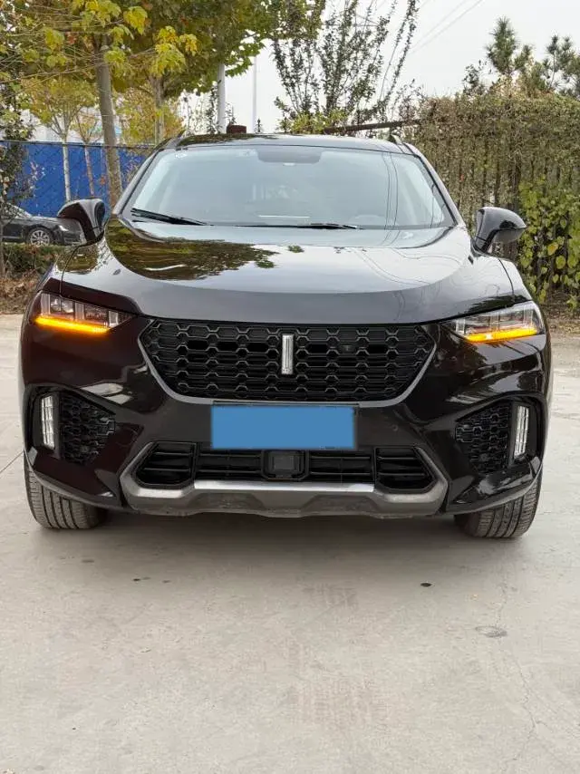 2017 WEY VV5 thumbnail 3