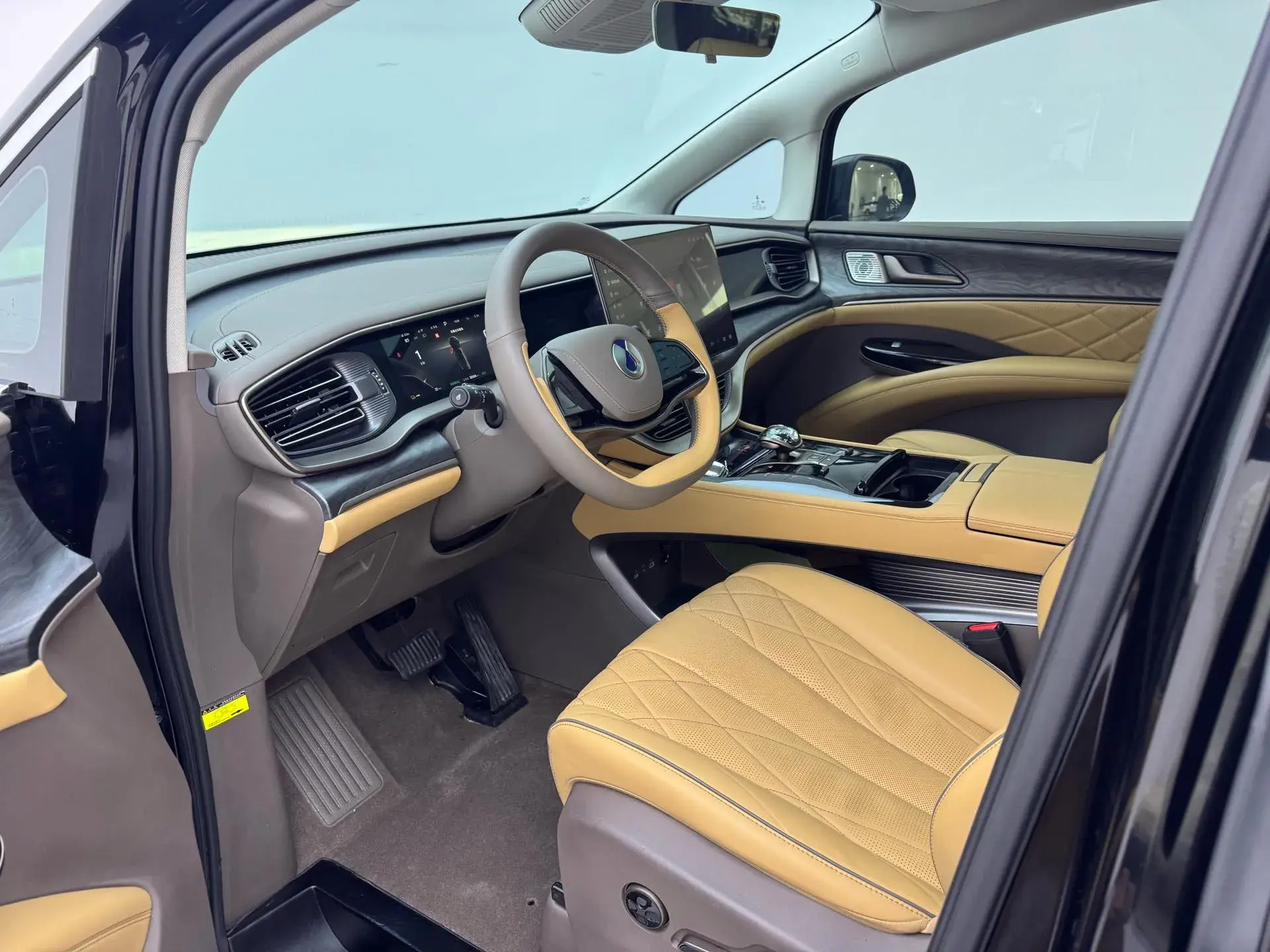 2022 DENZA D9 thumbnail 4