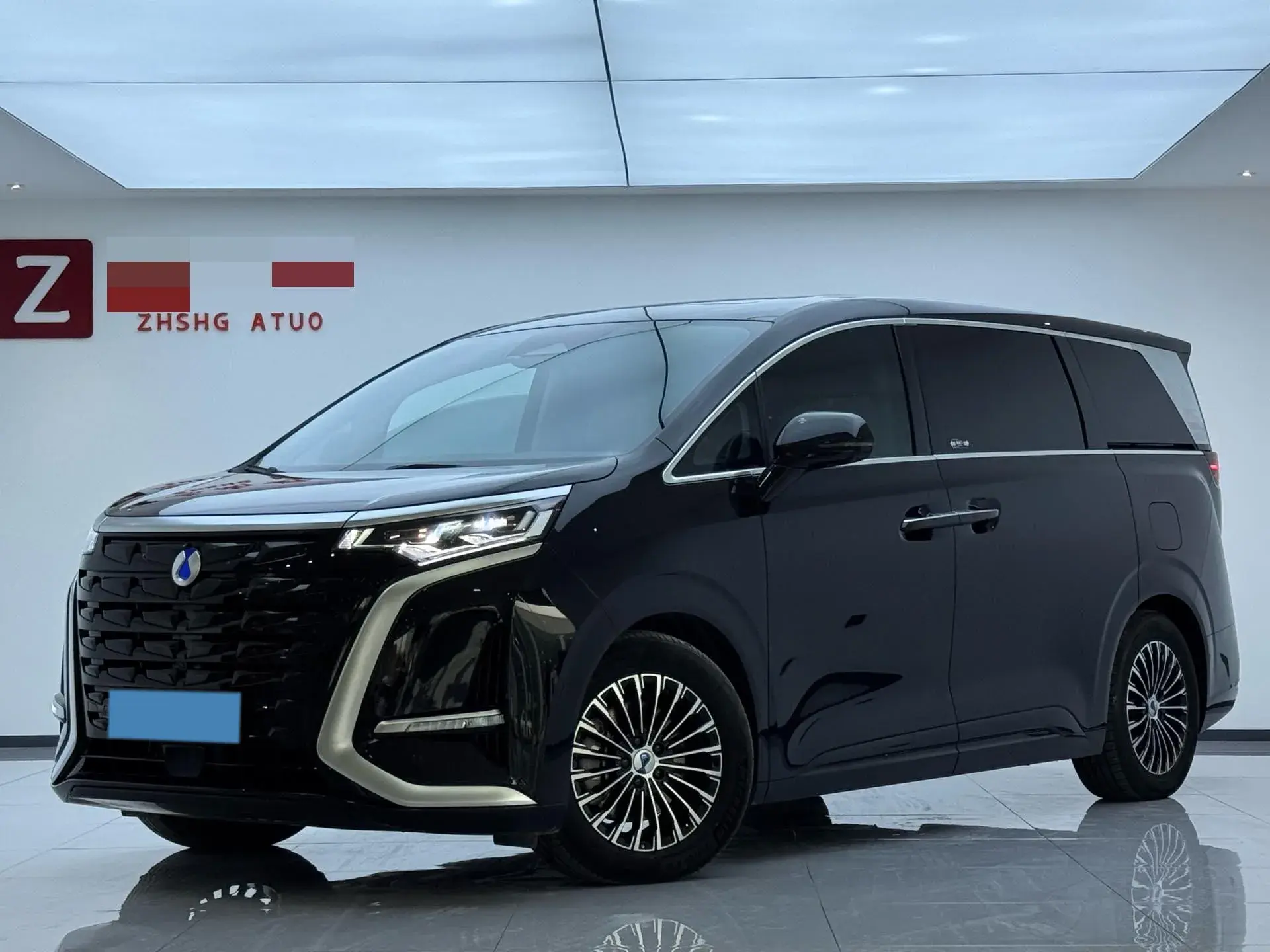 2022 DENZA D9 view 1