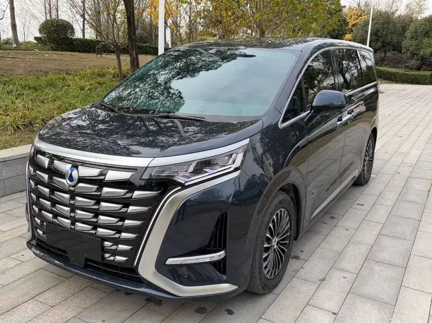 2022 DENZA D9 view 1