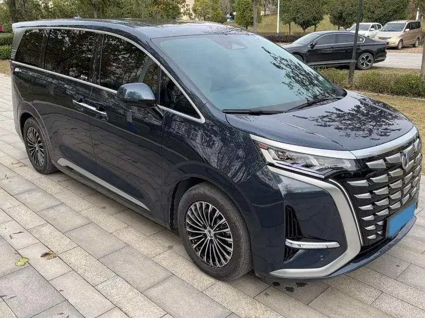 2022 DENZA D9 thumbnail 2