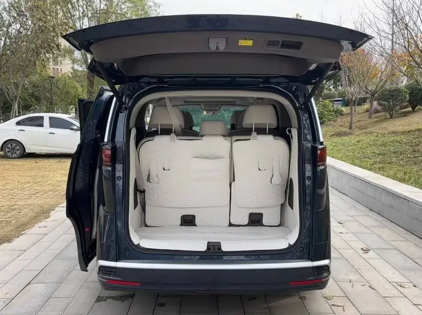 2022 DENZA D9 thumbnail 4