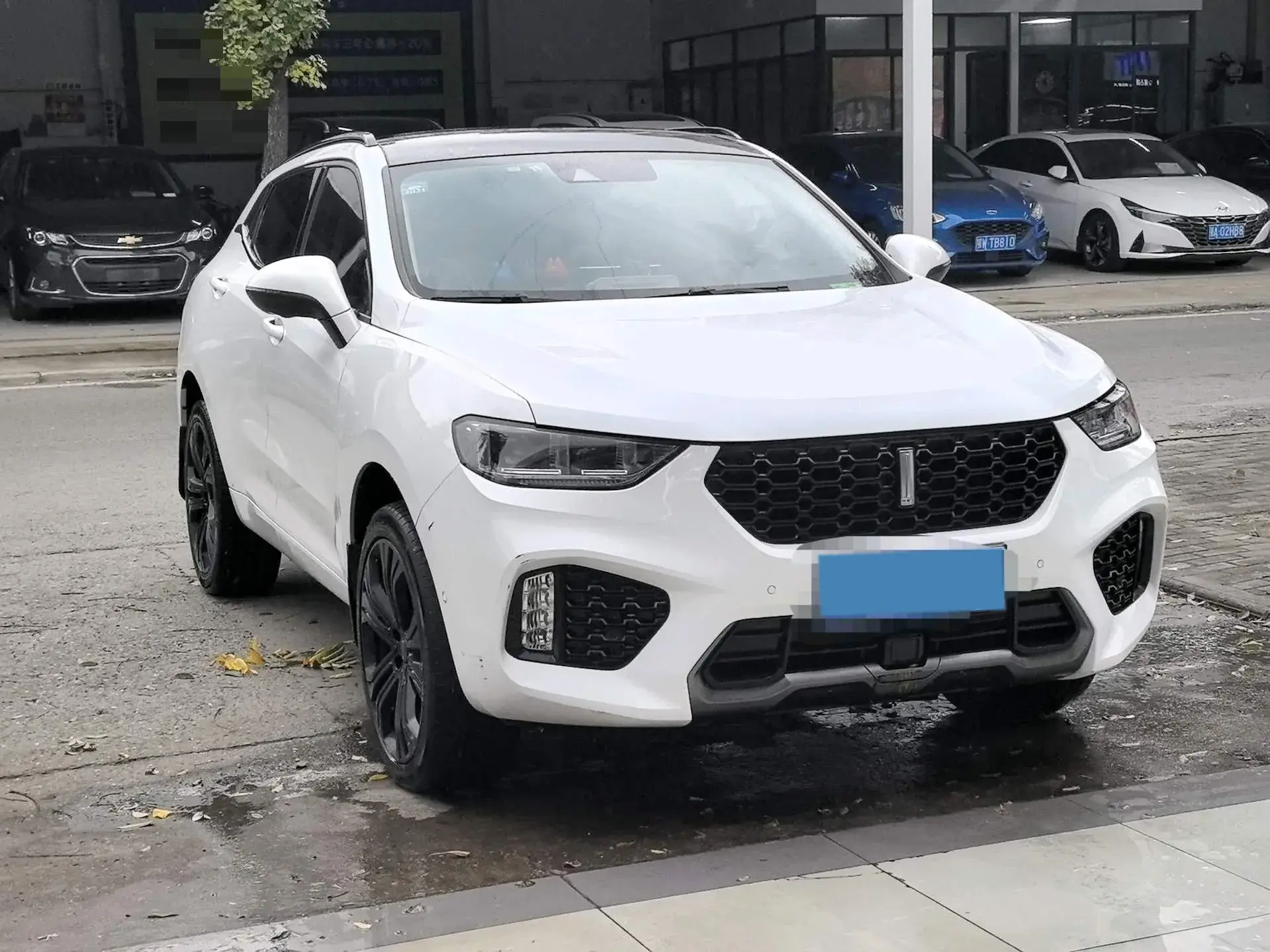 2019 WEY VV5 thumbnail 2