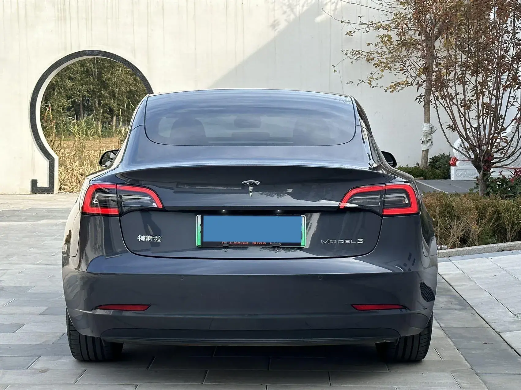 2021 TESLA MODEL thumbnail 4