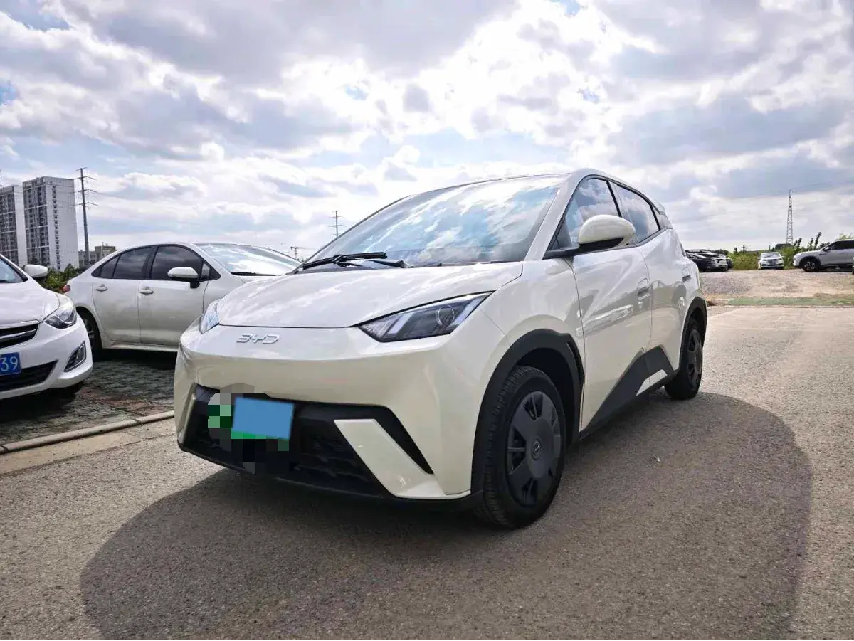 2024 BYD SEAGULL view 1