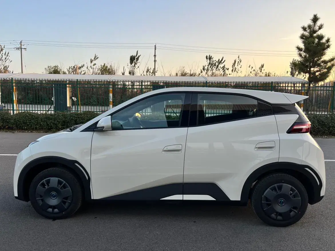 2025 BYD SEAGULL thumbnail 2