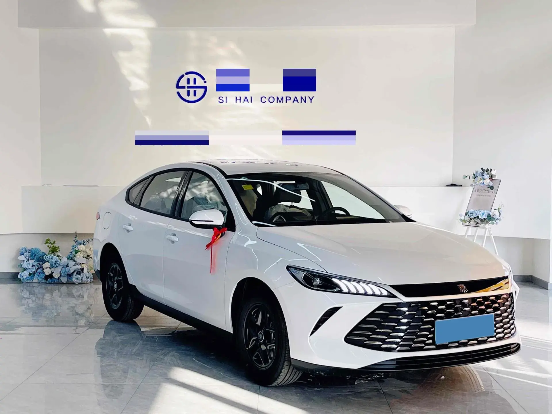 2025 BYD QIN thumbnail 3