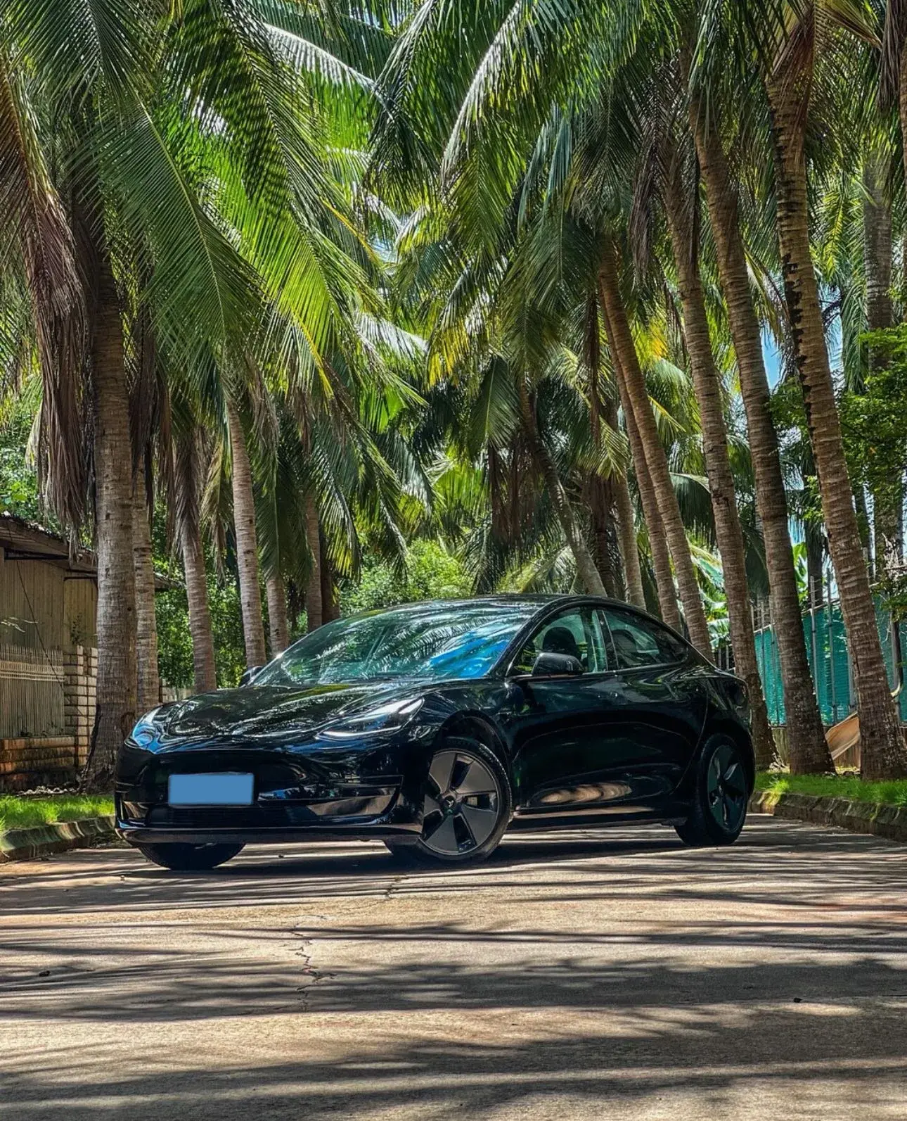 2021 TESLA MODEL thumbnail 2