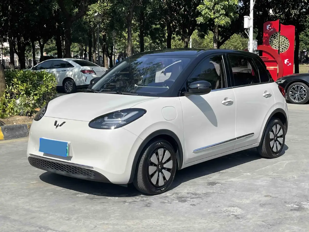 2023 WuLing BinGuo BEV 31.9KWH