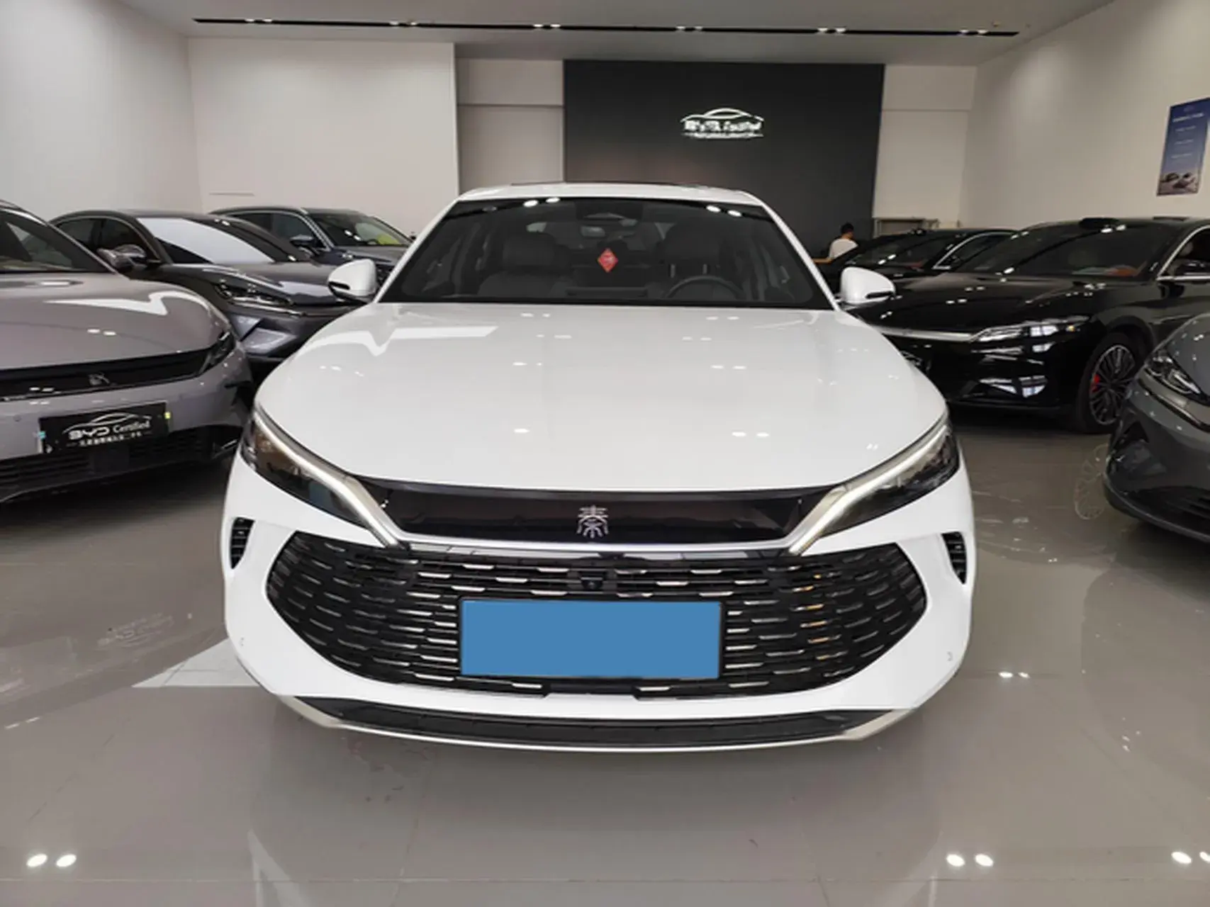 2024 BYD QINL thumbnail 2