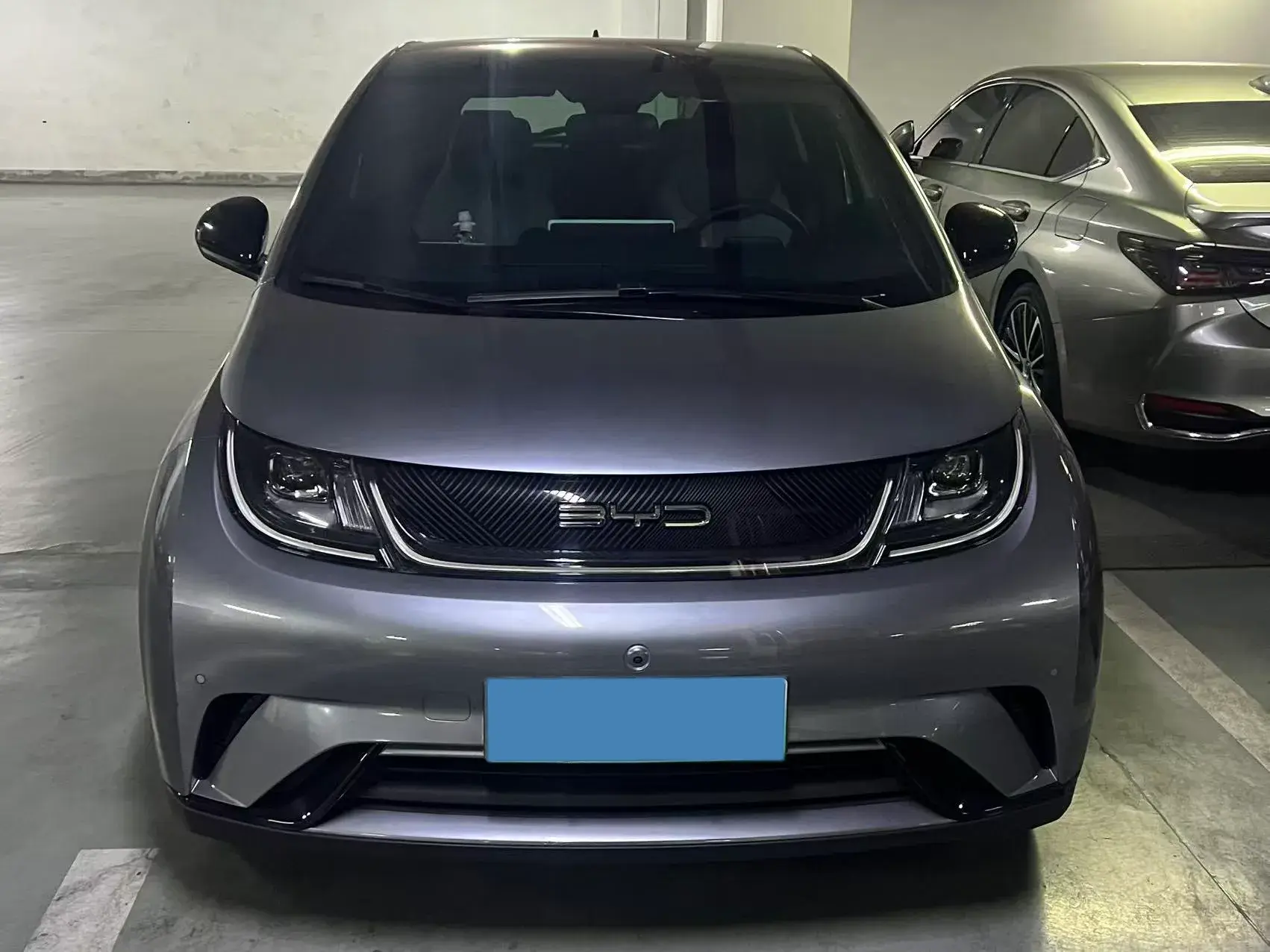 2023 BYD DOLPHIN thumbnail 3