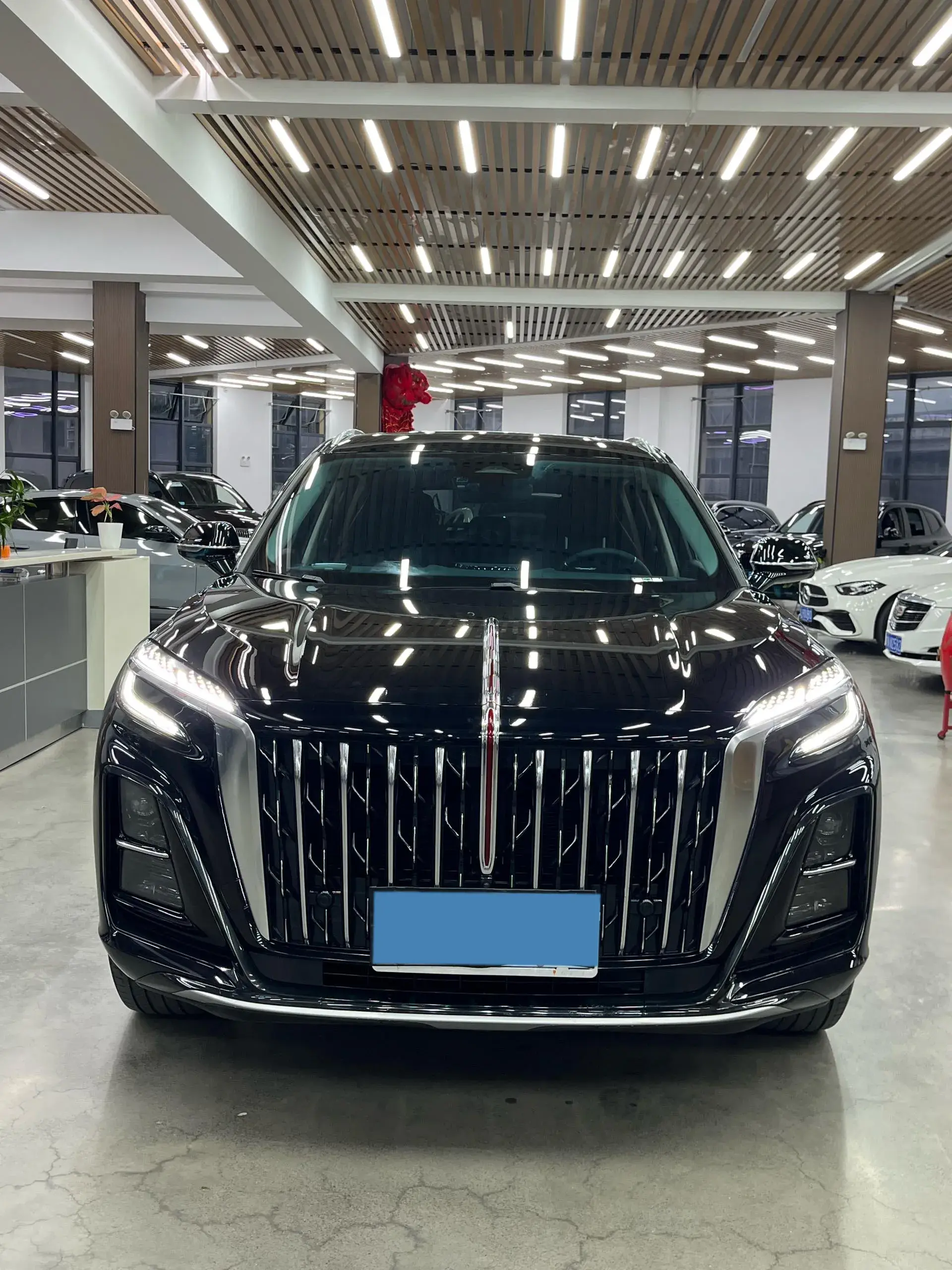 2024 HONGQI HS3 thumbnail 2