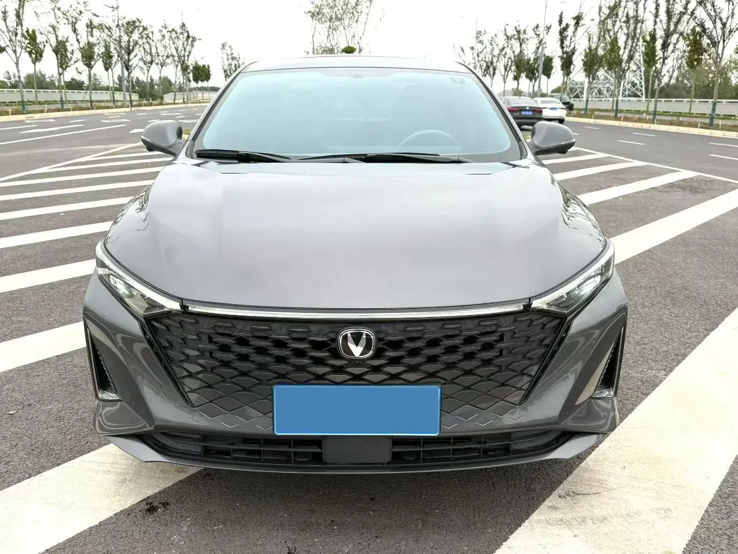 2023 CHANGAN RAETON thumbnail 2