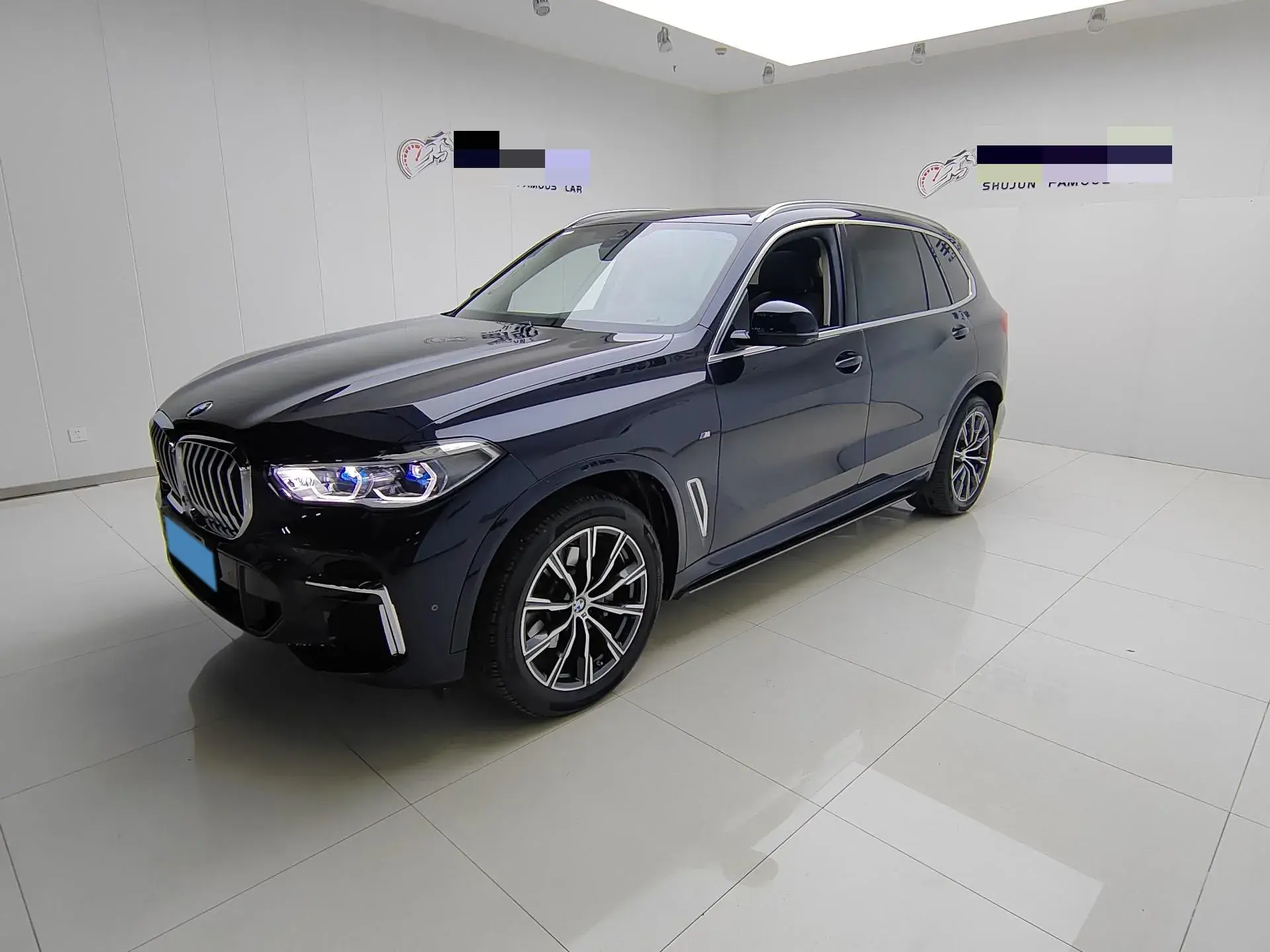 2022 BMW X5 view 1
