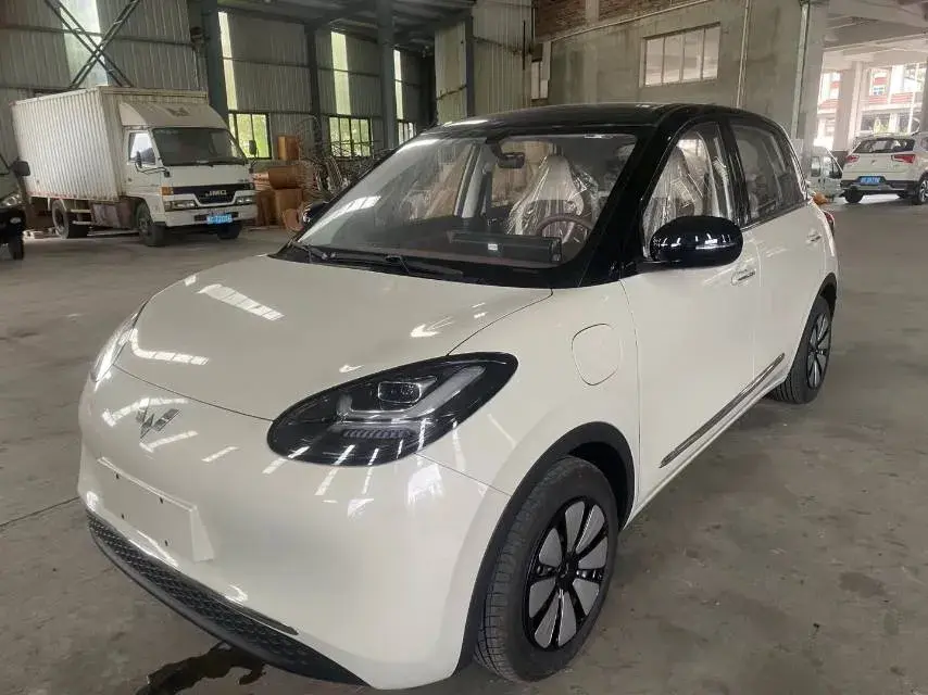 2024 WULING BINGUO view 1