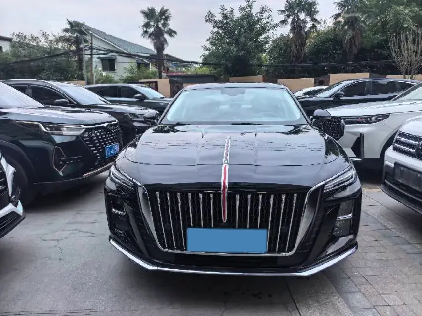 2024 HONGQI H5 thumbnail 2