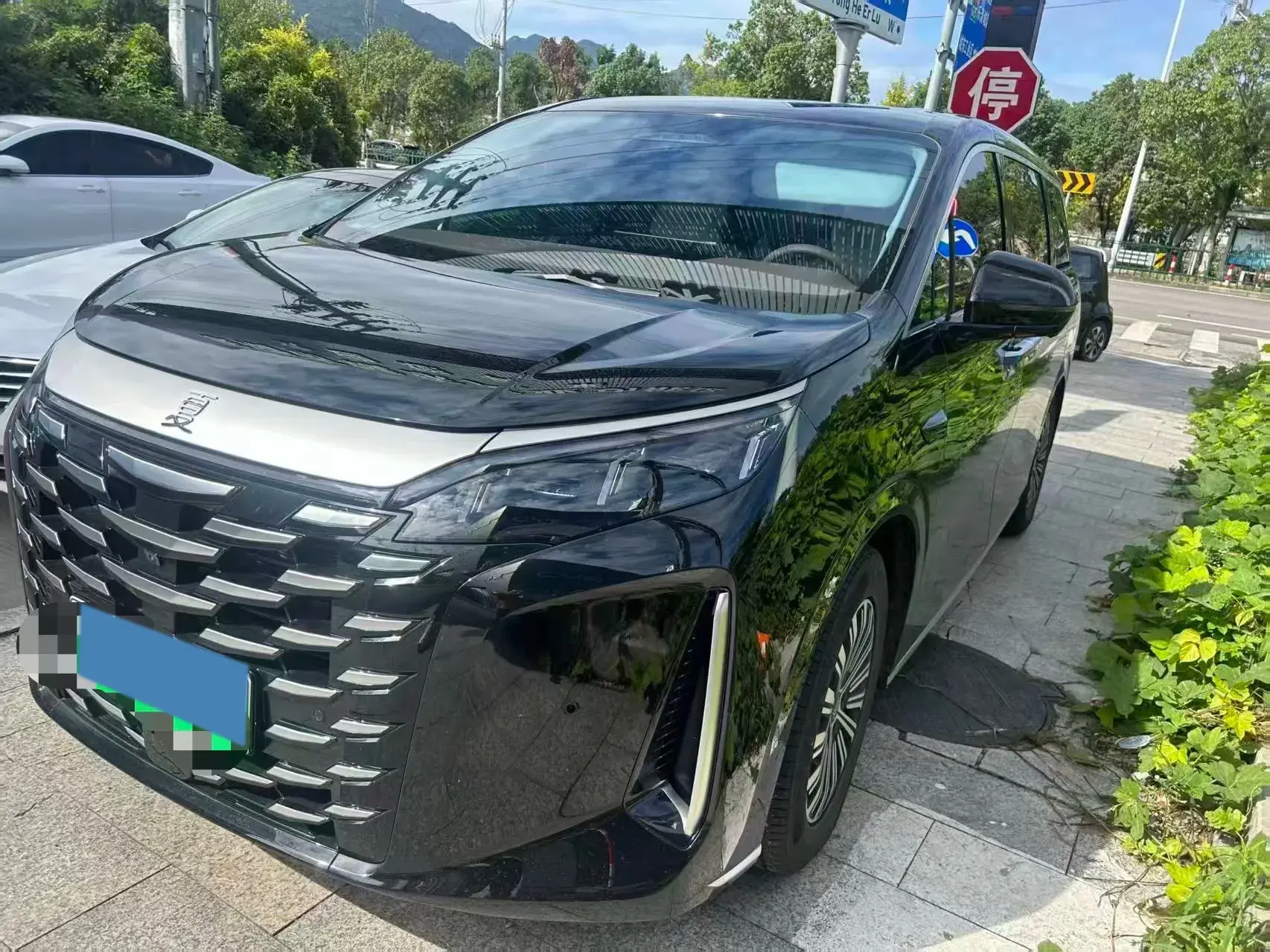 2025 BYD XIA thumbnail 2