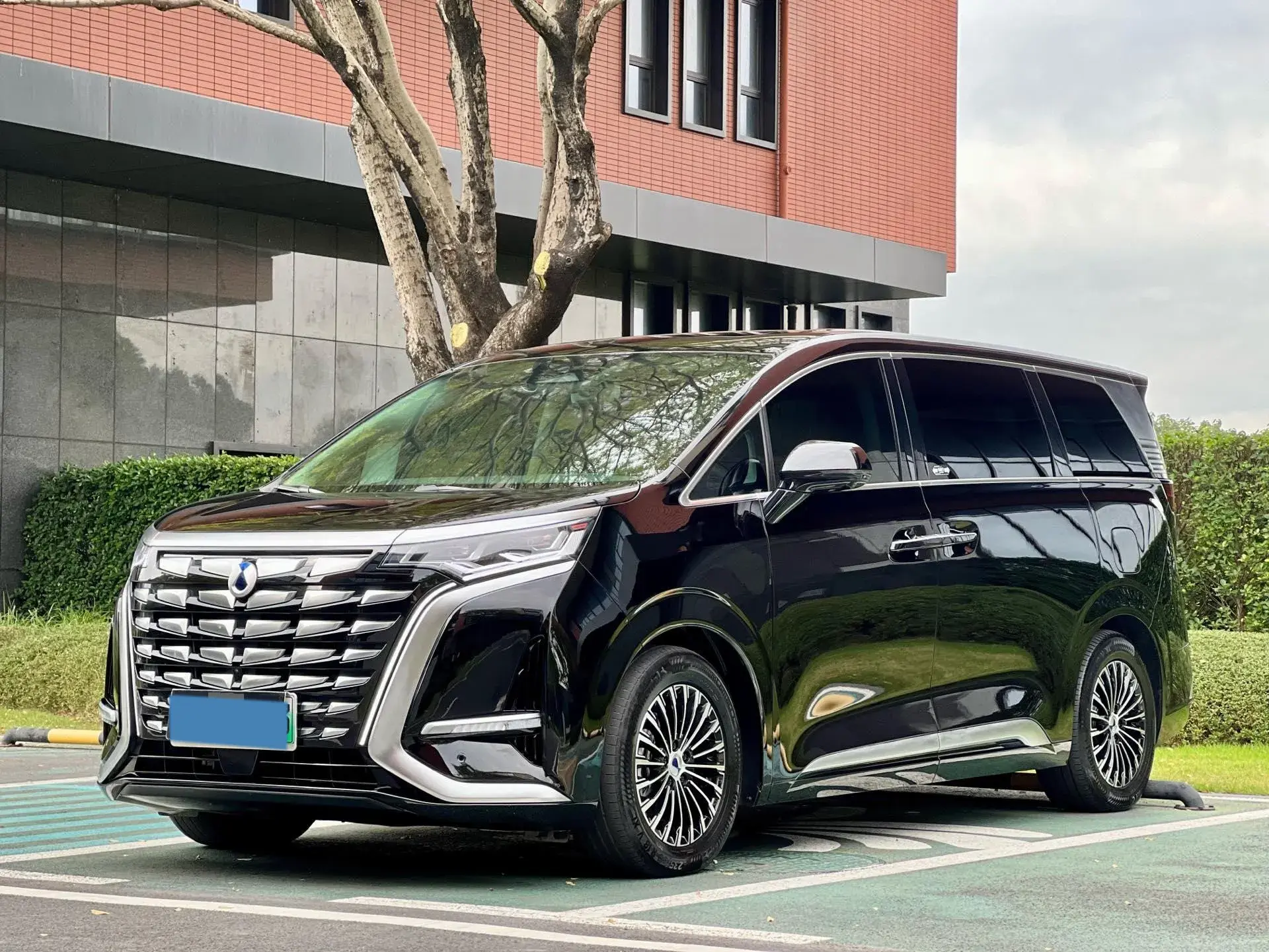 2024 DENZA D9 view 1