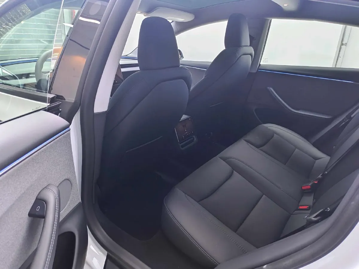 2025 Tesla Model 3 BEV,autocango,china used car exporter,china ev exporter,chinese used car exporter,chinese used ev exporter