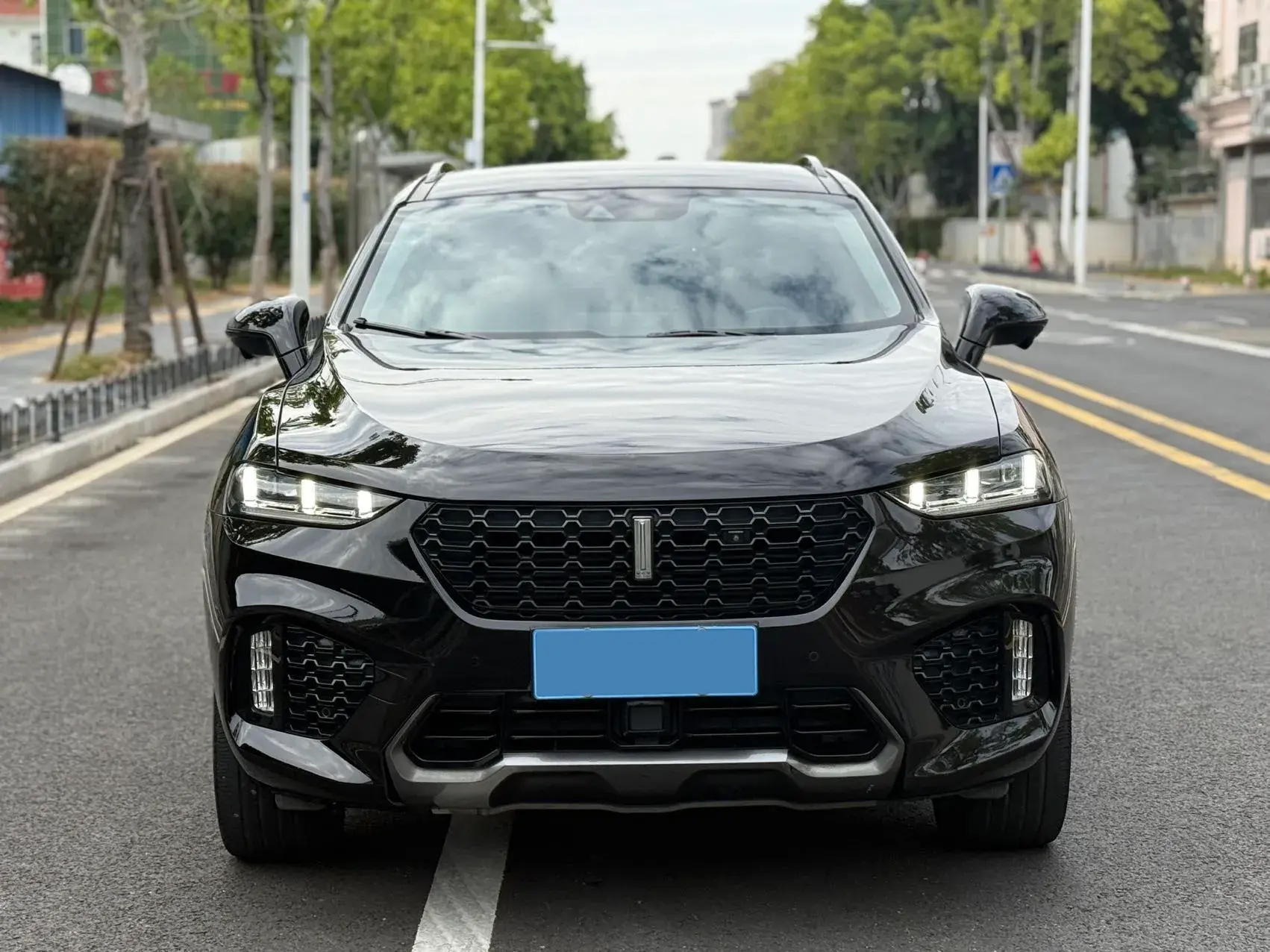 2020 WEY VV7 thumbnail 2