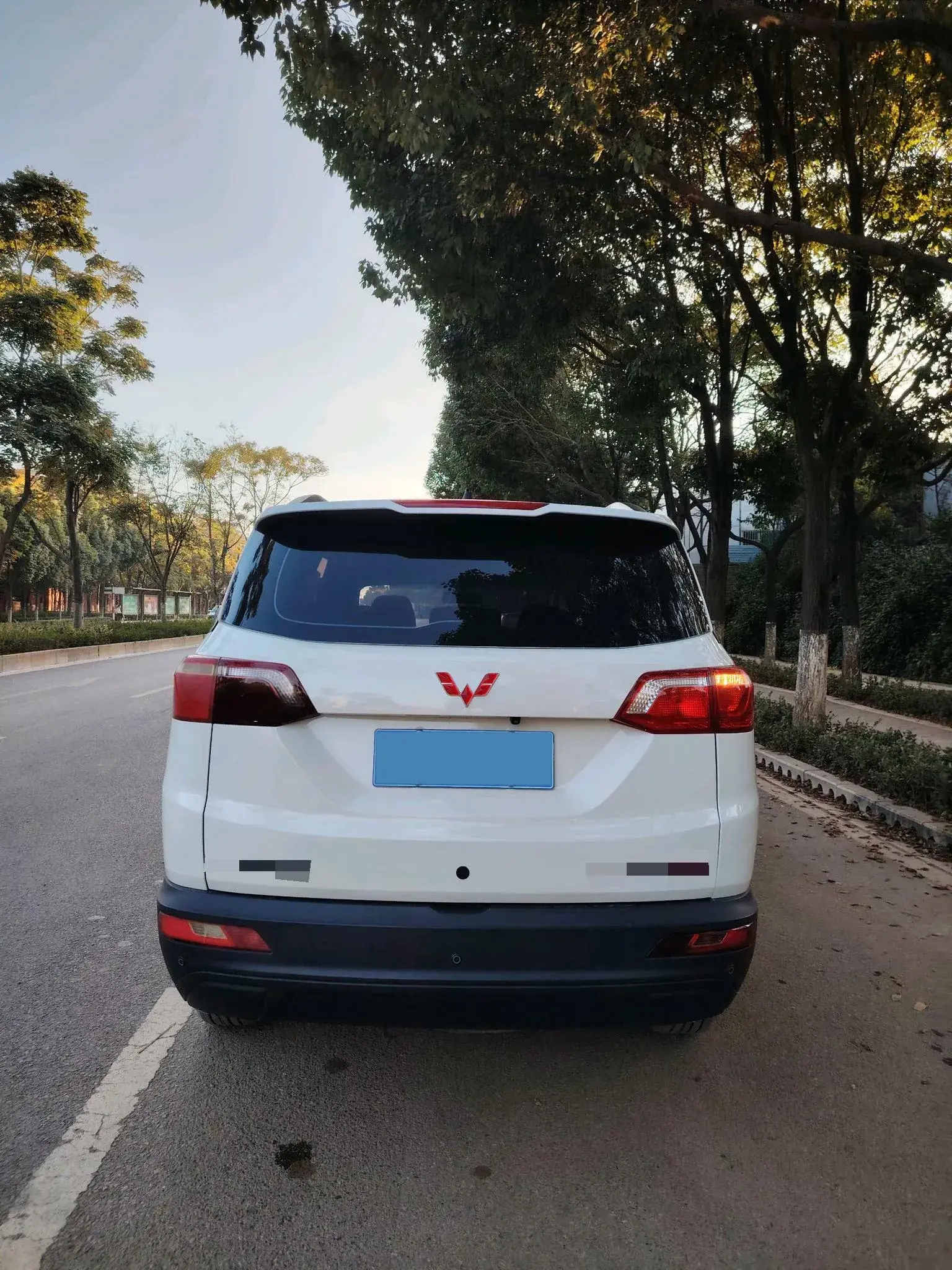 2019 WULING HONGGUANG thumbnail 4