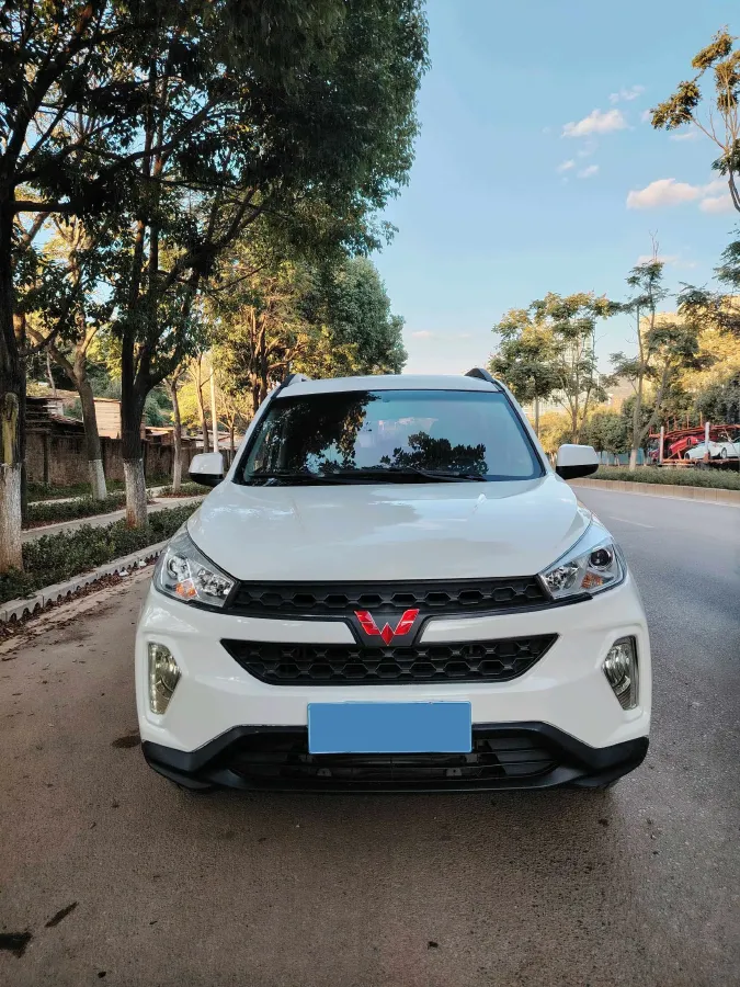 2019 WuLing HongGuang S3 1.5L 112HP L4 6MT,autocango,china used car exporter,china ev exporter,chinese used car exporter,chinese used ev exporter