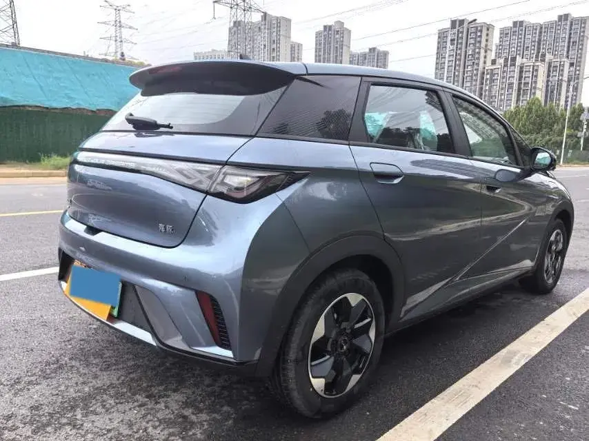 2025 BYD DOLPHIN thumbnail 4