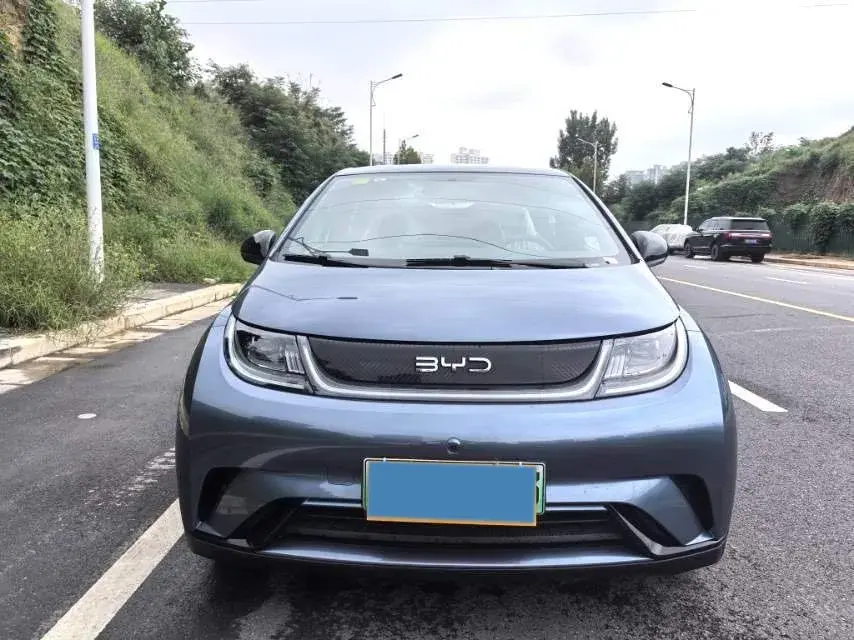 2025 BYD DOLPHIN thumbnail 2