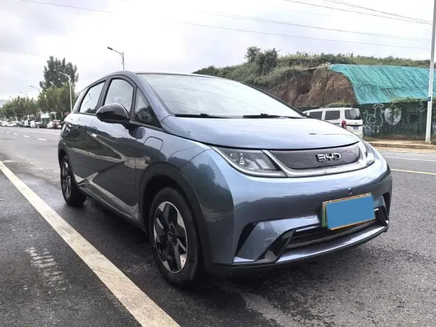 2025 BYD DOLPHIN thumbnail 3