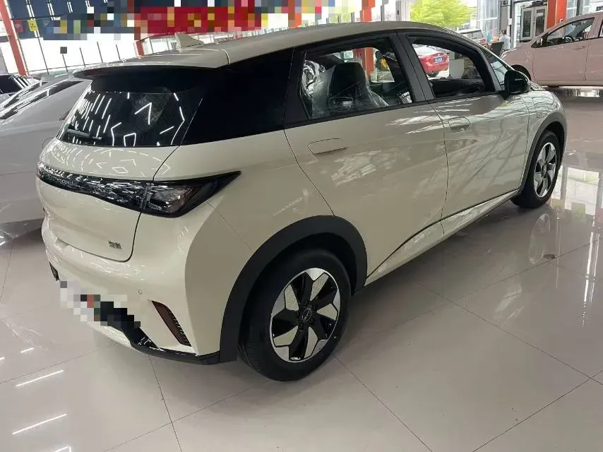 2025 BYD Dolphin BEV 44.928KWH,autocango,china used car exporter,china ev exporter,chinese used car exporter,chinese used ev exporter