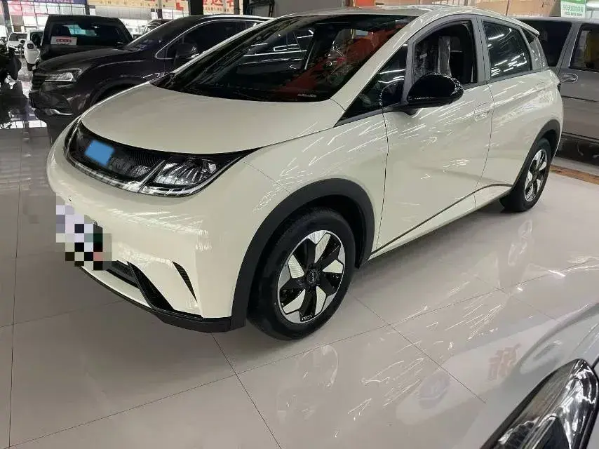 2025 BYD Dolphin BEV 44.928KWH