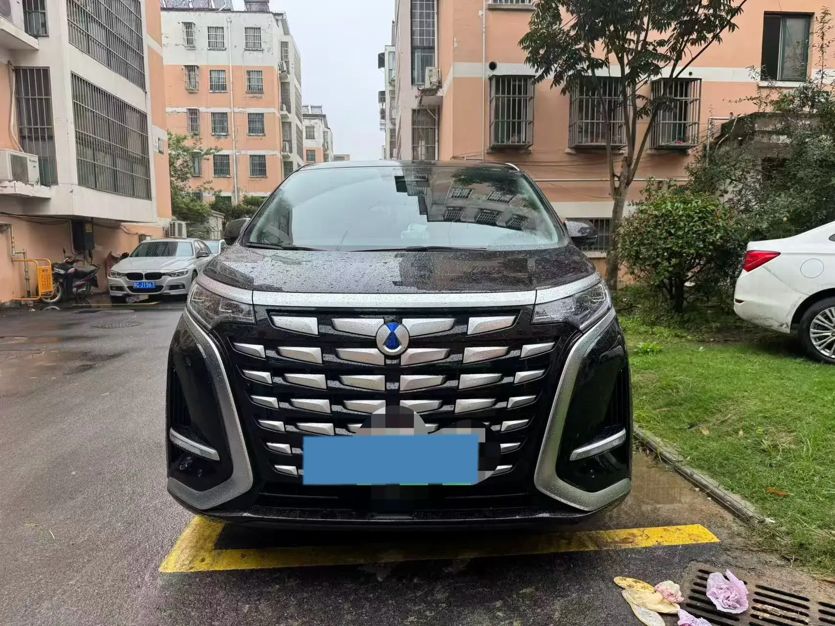 2024 DENZA D9 thumbnail 3