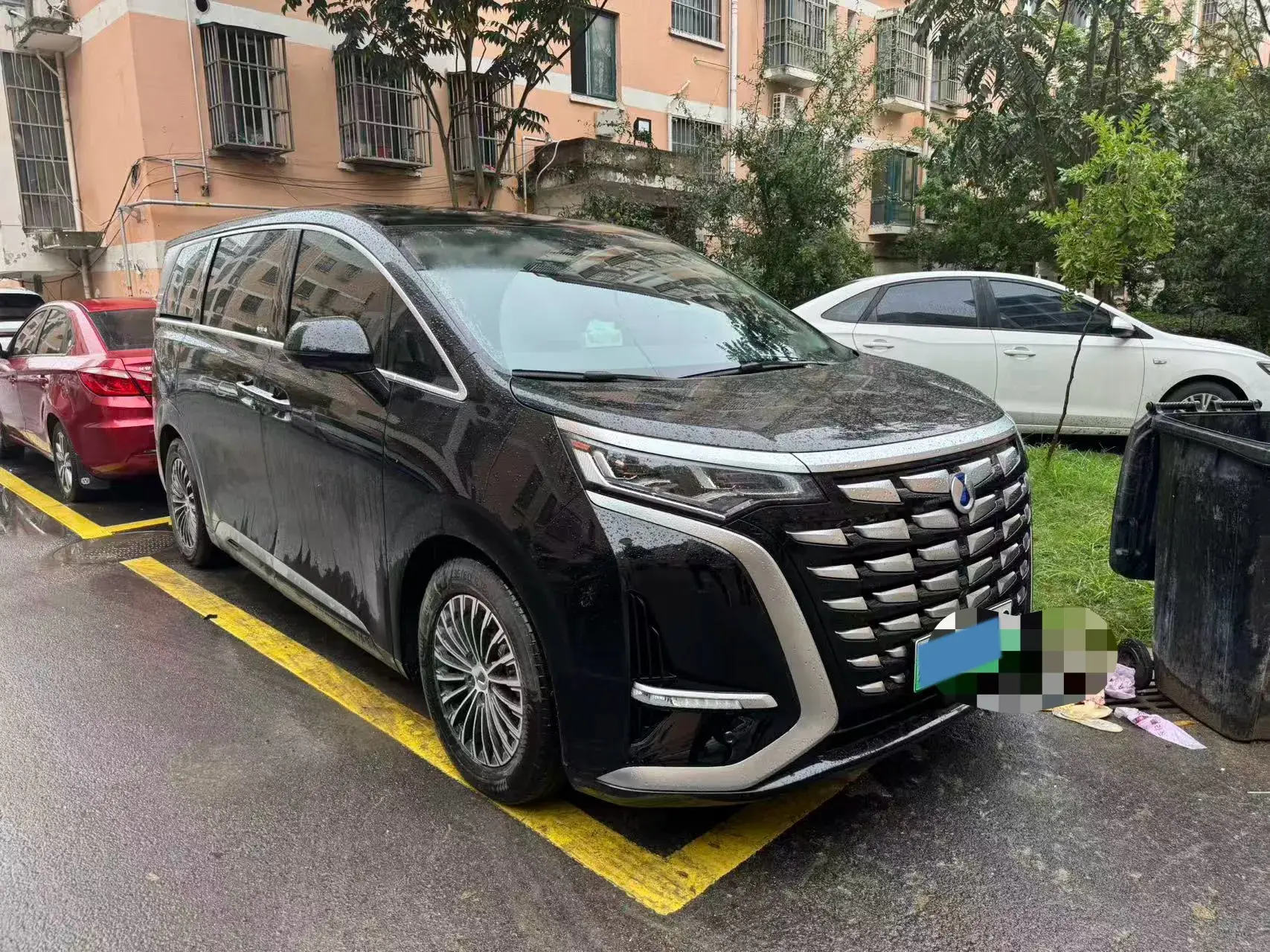 2024 DENZA D9 thumbnail 2